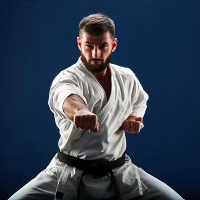 martialArts-catPic