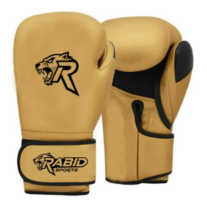 Boxing Gloves - Image 1