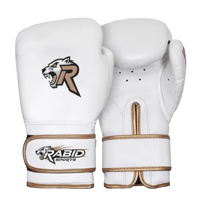 Boxing Gloves - Image 1