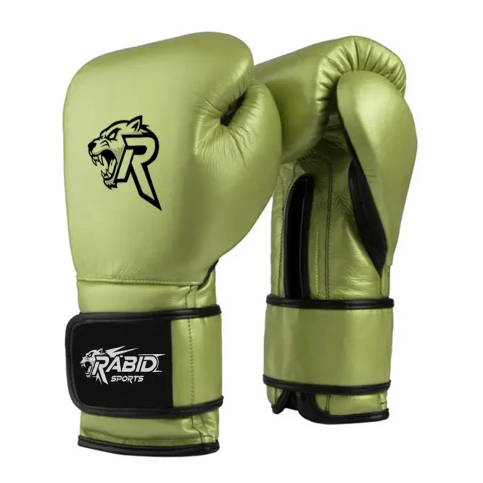 Boxing Gloves - Image 1