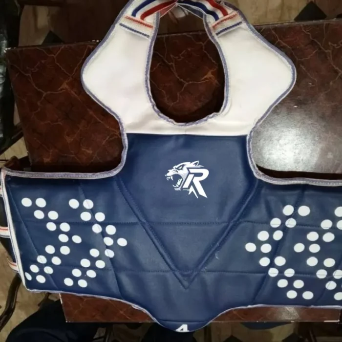 Chest Guard - Image 1