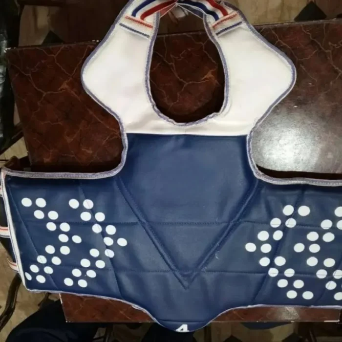 Chest Guard - Image 1
