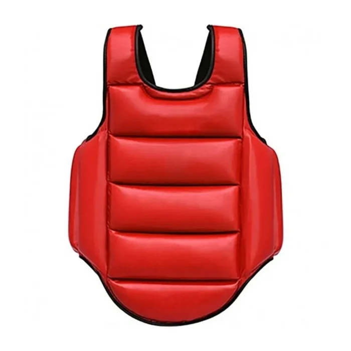 Chest Guard - Image 1