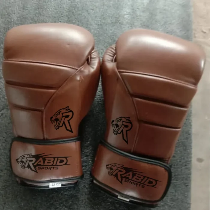 Boxing Gloves - Image 1