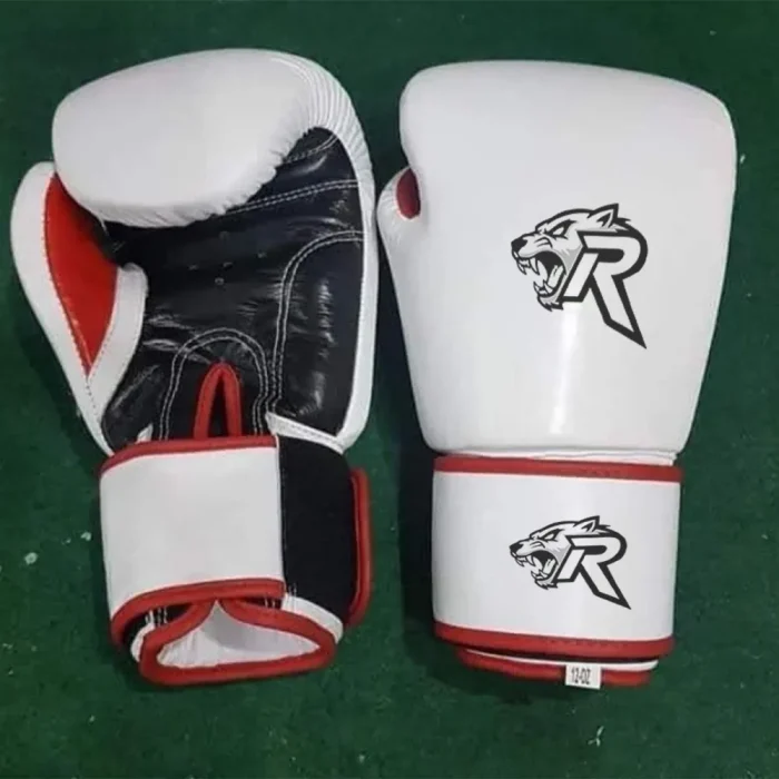 Boxing Gloves - Image 1
