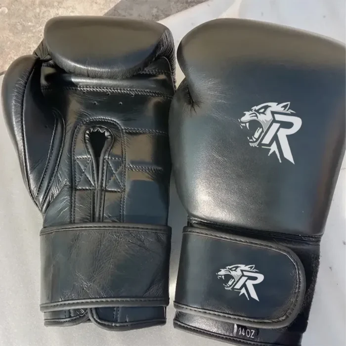 Boxing Gloves - Image 1