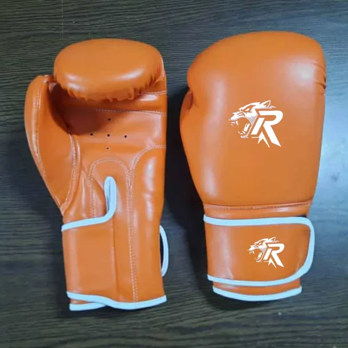 Boxing Gloves - Image 1